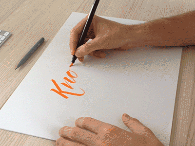 Knock Out animation calligraphy font gif handlettering handmadefont lettering process typography video