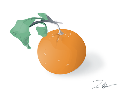 oranges design digital illustration vector