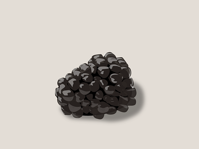 blackberries design digital illustration vector