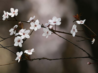 穿暖花开7