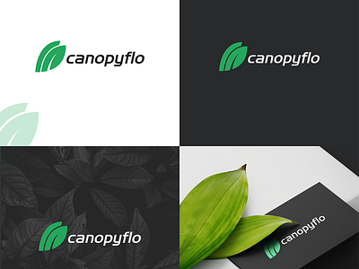 Logo design for a natural brand called Canopyflo