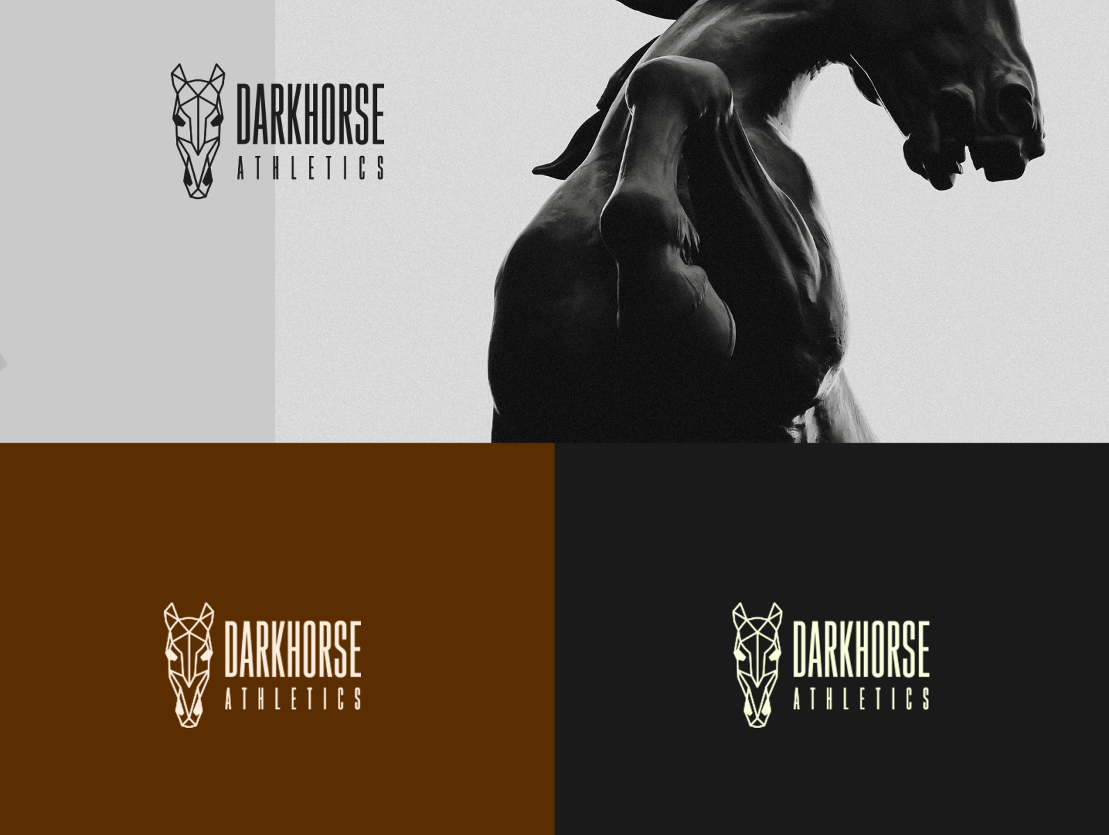 Clothing brand logo design for a brand called DARKHORSE by Logodune on