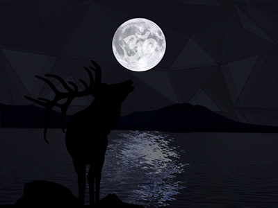 Elks Lodge Flyer - Front elk flyer lake moon mystical night pattern