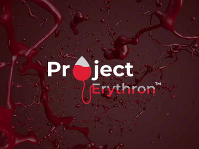 Project Erython