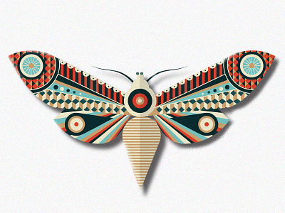 Moth animal bug butterfly geometric illustration insect moth pattern symmetry wing