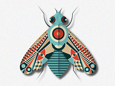 Pretty Fly animal bug fly illustration insect moth pattern symmetry wing