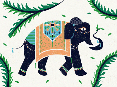 elephant animal bangalore elephant india nature pattern wallpaper