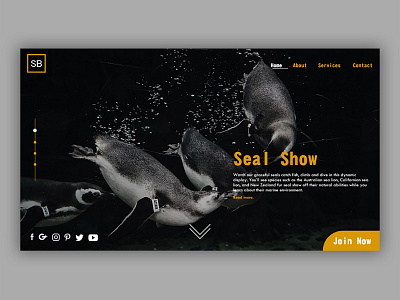Seal Show branding landing page design sealshow ui web