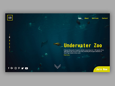 Underwater Zoo branding design landing page design ui web