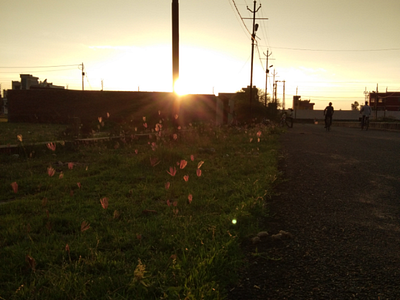 Evening sunset evening shot india natural naturally simple capture sunset sunset in india