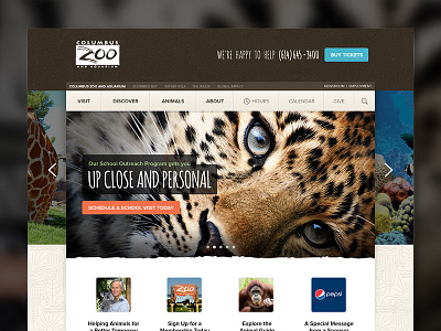 Columbus Zoo and Aquarium - Initial Concept animals cheetah columbus leopard texture web design web site zoo