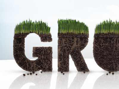 Grow dirt grass green grow soil type