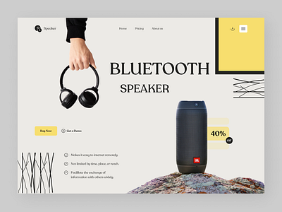 Portable Speaker Store Website.