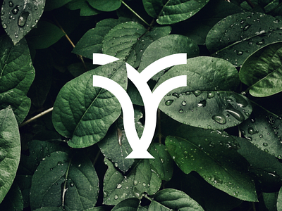 yoplant logo design 🌱 !!