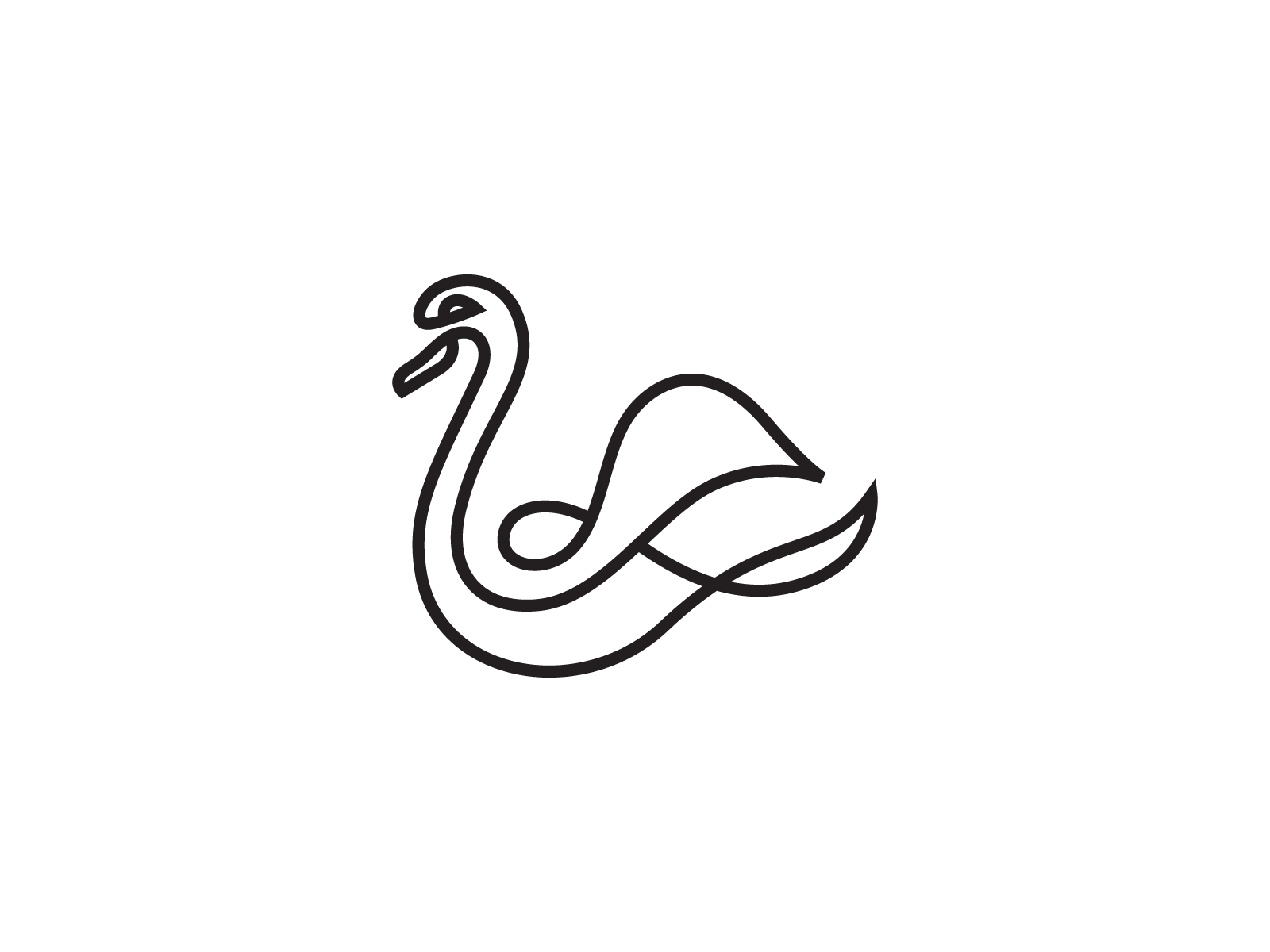 Swan drawing Black and White Stock Photos & Images - Alamy