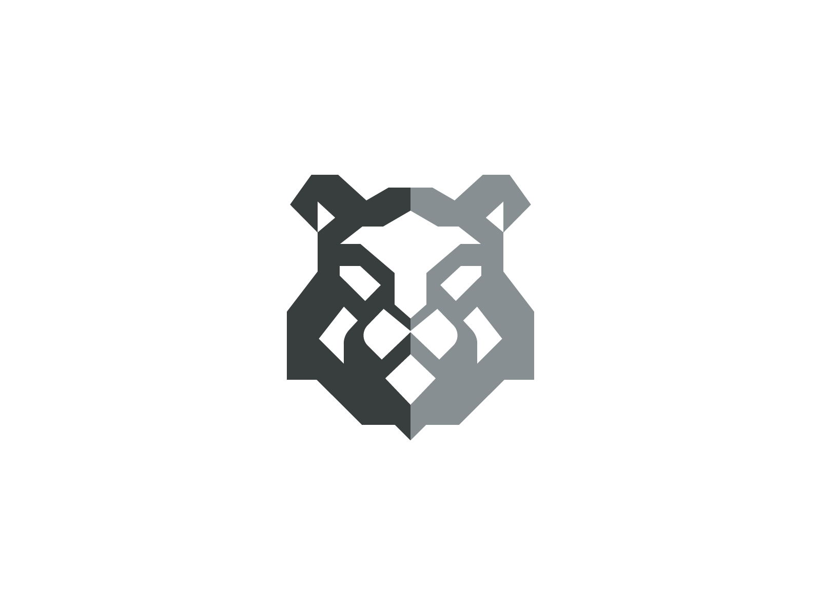 Lion Logo africa animal animal logo big cat design face geometic head icon king leo leone lion mark minimalist logo negative space pride tiger wild