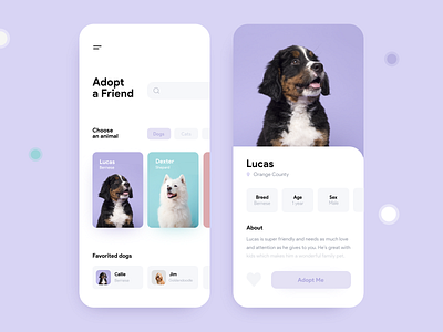 Pet Adoption Mobile App adobexd mobile app pet adoption pet app ui ux ux ui ux design