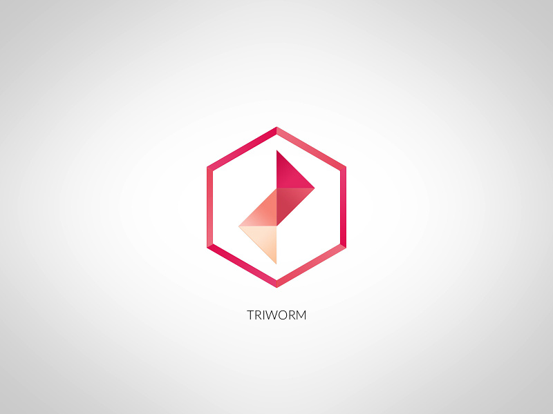 Triworm - fun logo triangle flat gradient folded logo red pink minimalistic