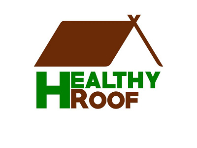 Healthy Roof Logo 3d animation app branding design graphic design illustration logo motion graphics ui vector