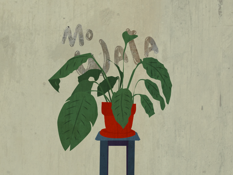 Mo Wata after effects animated animated gif plant