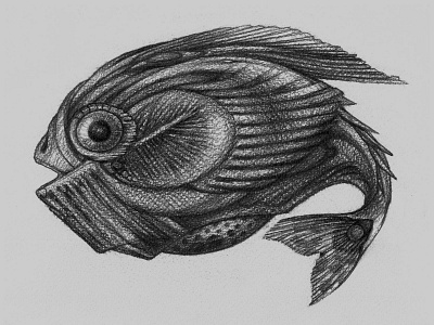 FISH fish graphic illustration line art pencil drawing sketch