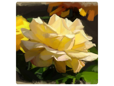 Flower adobe photoshop art design flower illustration nature painting roses yellow