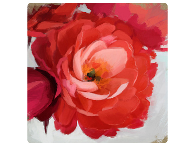 Flower adobe photoshop art design illustration nature illustration painting pink red roses sketching