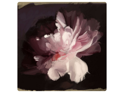 Flower adobe photoshop art illustration painting pink purple roses sketch