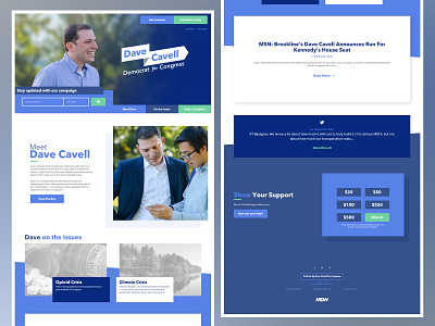 Dave Cavell for Congress campaign candidate government political politics usa web design wordpress wordpress theme