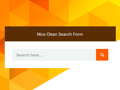 Nice Clean Search Form