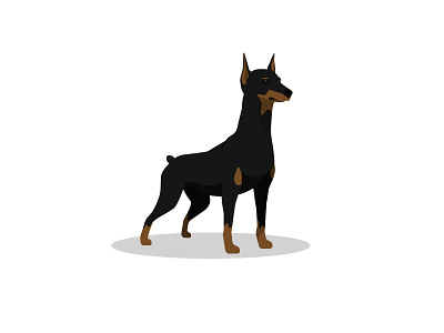 doberman animal animated animation design dobermann dog dog illustration dribble falt vector flat flatdesign illustration vector