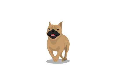 french buldog animal bulldog dog dog illustration falt vector flatdesign frenchbulldog illustration pet pet design vector