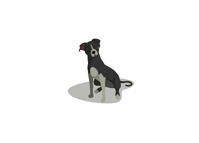 American Pitbull americanpitbull animal dog dog illustration falt vector flatdesign illustration logo pet pet design pitbull vector