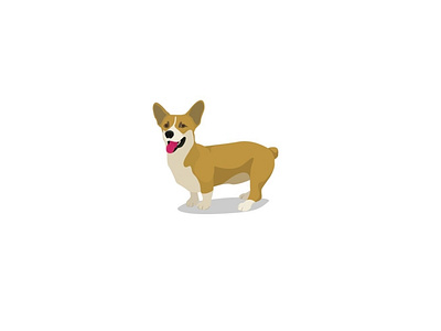 corgi