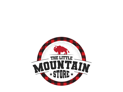 THE LITTLE MOUNTAIN STORE