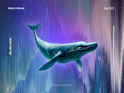 A Weird Whale graphic design