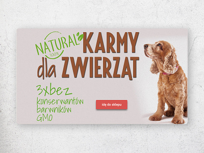 Food fot pets branding design graphic graphic design graphicdesign mockup ui webdesign website