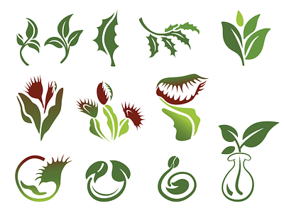 Carnivorous graphics bugs design eating illustration leaf plant