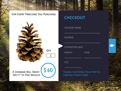 Pinecone Checkout challenge checkout forest ui