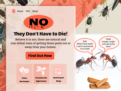 Bugs Landing Page ants bees bugs challenge landing ui