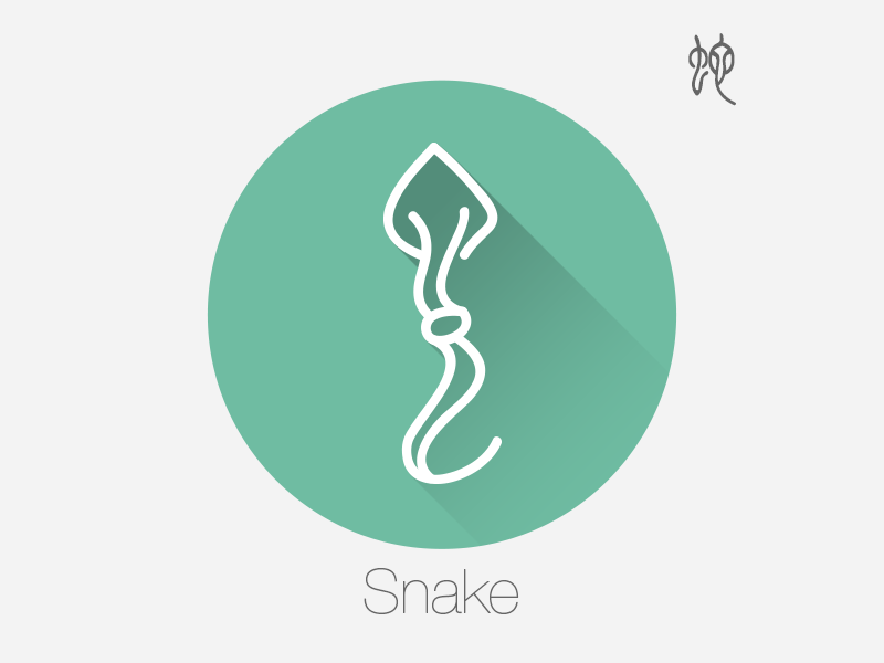 Snake Chinese Zodiac（Oracle fonts） by Tingzi on Dribbble