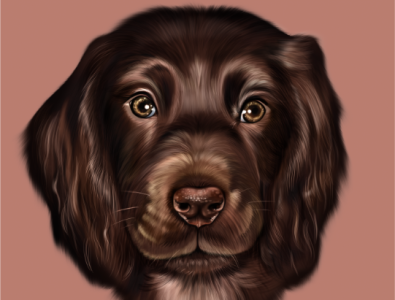 Realistic Pet Portrait digital art digital illustration digital painting dog pet portrait