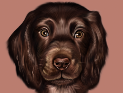 Realistic Pet Portrait