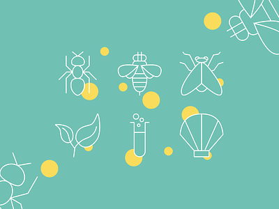 Nature Icons ant app design app icons bee brand icons chemicals fly icon designer icon set icon system iconography icons leaf shell ui ux web icons