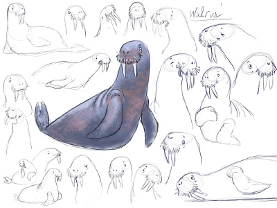 Character Design: Wally Walrus