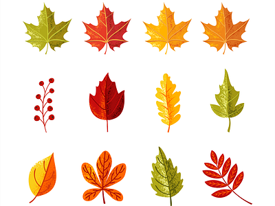 Colorful leaves in autumn season autumn colorful illustration leaf leaves set