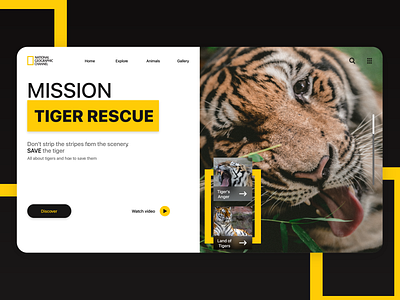 National geographic Redesign concept design web