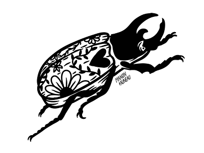 Beetle flash beetle illustration