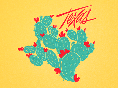 TX Cactus cactus illustration procreate texas tx
