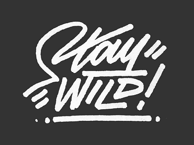 Stay Wild! brush font handmadefont handmadelettering lettering lettering art lettermark letters staywild